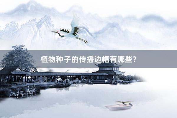 植物种子的传播边幅有哪些？